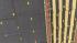ARUPPUKOTTAI 60S COTTON SAREES WITH BLOUSE